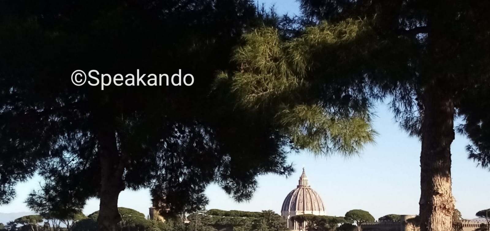 traduzioni giurate a roma